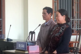 Cản cắm ranh đất, 2 vợ chồng hầu tòa