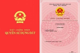 Có cần sổ hồng khi ký hợp đồng thuê nhà?