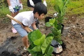 TP.HCM đẩy mạnh phát triển mảng xanh trên toàn TP