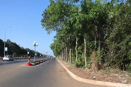 Dùng dằng 1 vụ bồi thường 10 năm ở Bà Rịa-Vũng Tàu