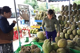 Sầu riêng, me… Thái Lan ồ ạt vào Việt Nam