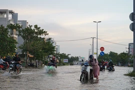 Chống ngập ở TP.HCM: Làm phần ngọn, quên phần gốc