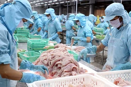 Gạo, tôm, cá Việt vào thị trường 15.000 tỉ USD