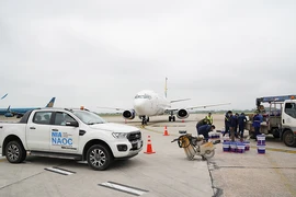 Nhiều phương án khi Nội Bài và Tân Sơn Nhất đóng 1 đường băng