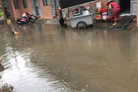 Xây dựng GIS cho hệ thống thoát nước TP.HCM