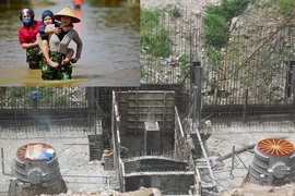 Phá rừng và cái giá phải trả - Bài 2: Tràn lan thủy điện ‘cóc’