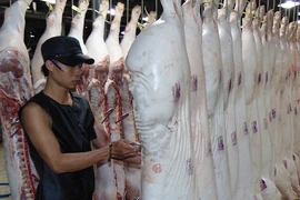 TP.HCM hỗ trợ doanh nghiệp xây nhà máy giết mổ hiện đại