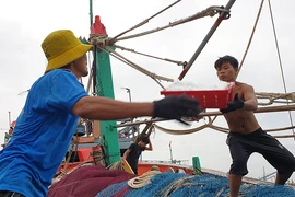 Đảm bảo an toàn cho người dân khi bão vào