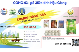 Video: 3 cách để người dân TP.HCM mua combo hàng thiết yếu qua online