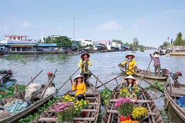 Đón Tết trên sông: Độc đáo và hấp dẫn