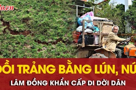 Lâm Đồng: Phát hiện vết nứt lớn trên đồi Trảng Bằng, khẩn cấp di dời dân