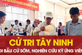 Cử tri Tây Ninh đi bầu cử từ sớm, nghiên cứu kỹ danh sách ứng cử