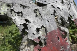 Thảm kịch MH17: Đã tìm thấy mảnh vỡ tên lửa?