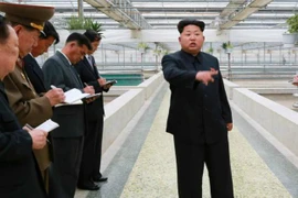 Kim Jong-un xử tử quản lý trại rùa vì ‘kém hiệu quả’