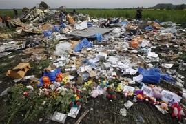 Bellingcat 'chỉ đích danh' sư đoàn Nga liên quan vụ MH17