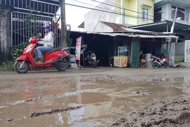 'Nhà thầu Trung Quốc thất hứa nhiều lần, không tin được'