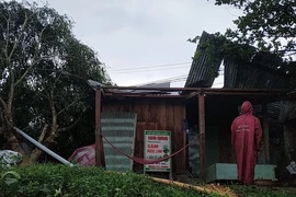 Mưa giông kèm lốc làm nhiều nhà dân Quảng Nam tốc mái