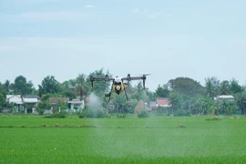 Dùng thiết bị bay phun thuốc, phân bón trên đồng lúa