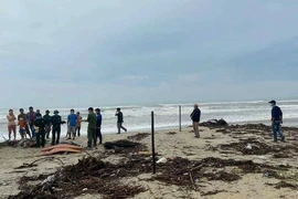 Tìm thấy thi thể người nước ngoài sau nhiều ngày mất tích