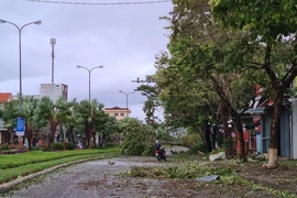 Quảng Nam ngổn ngang sau bão số 9