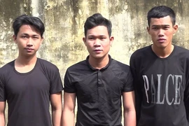 Cắt trộm 1 tấn dây điện trung thế rồi đem bán phế liệu