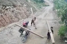Khởi tố 2 người phá 1,5ha rừng tự nhiên ở Quảng Ngãi
