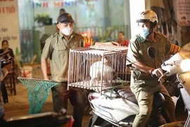 3 cháu nhỏ bị chó cắn, 1 cháu tử vong 