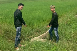 Công an 20 xã, phường truy bắt 2 nghi phạm thực hiện 12 vụ cướp giật