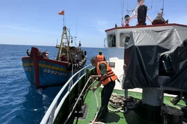 Biên phòng Quảng Ngãi phát hiện 2 tàu giã cào tận diệt hải sản ven bờ