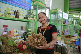 Sàn thương mại điện tử Sâm Ngọc Linh giúp kết nối giữa khách hàng và doanh nghiệp, hộ kinh doanh uy tín. Ảnh: TN