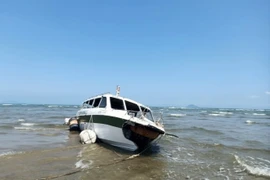 Quảng Nam đề nghị Cục Đăng kiểm kiểm tra tàu hoán cải