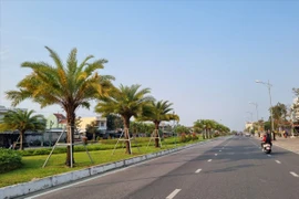 Bộ Công an yêu cầu Quảng Nam cung cấp thông tin các dự án trồng và chăm sóc cây xanh (ảnh minh hoạ). Ảnh: TN
