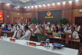 Miễn nhiệm chủ tịch và phó chủ tịch UBND tỉnh Quảng Nam. Ảnh: TN