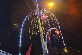 Dựng cây nêu đón Tết, người đàn ông bị điện giật tử vong