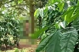 Người đàn ông không mặc quần áo, tử vong bên gốc sầu riêng