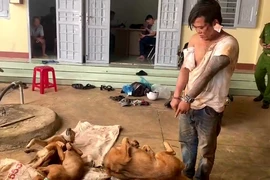 Chủ nhà bị đâm trọng thương khi bắt kẻ đánh bả để trộm chó