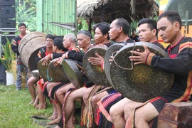 Hơn 600 nghệ nhân tham gia liên hoan văn hóa cồng chiêng ở Buôn Ma Thuột