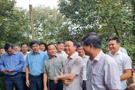 Bộ trưởng Đỗ Đức Duy: Gian lận mã số vùng trồng sầu riêng là 'vi phạm hình sự'