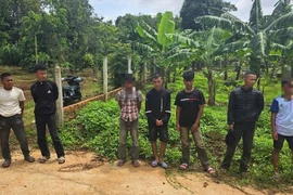 Vờ mượn điện thoại để gọi rồi giật chạy
