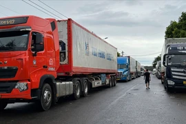 Gần 200 container chở nông sản tập kết trái phép tại cụm công nghiệp Tân An