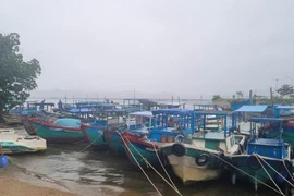 Đắk Lắk ban hành lệnh cấm biển để ứng phó bão số 15