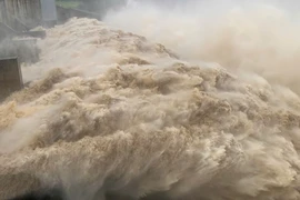 Tổng giám đốc Sông Ba Hạ điều hành đại hội cổ đông sau thời gian làm việc với cơ quan chức năng 