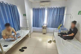 Cây môn trong món vếch bò khiến 3 thực khách nhập viện