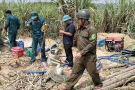 Dấu hiệu bất thường của nhóm người lạ trong rẫy mía, nghi khai thác vàng ở Đắk Lắk