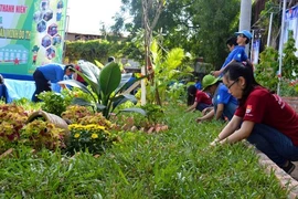 Mô hình “Biến bãi rác thành vườn hoa” đoạt giải Hồ Hảo Hớn
