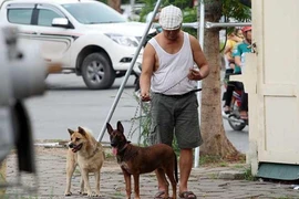 HẢI ĐĂNG 