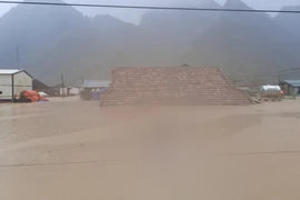Chúng ta đã làm gì khiến thiên nhiên nổi cơn cuồng nộ đến vậy?