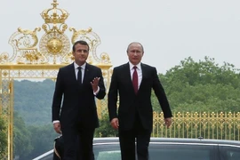 Ông Putin lên tiếng về vụ Mỹ hạ sát tướng Iran