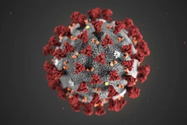 Nhật Bản tuyên bố cô lập thành công virus Corona