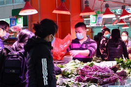 14% người xuất viện ở Quảng Đông dương tính lại với COVID-19